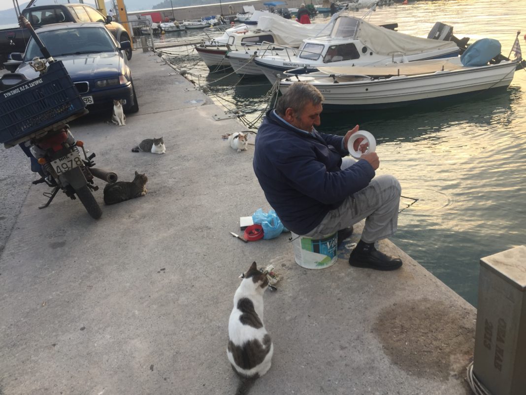 65A25973-34DF-4BA8-89DF-209E74152FBA