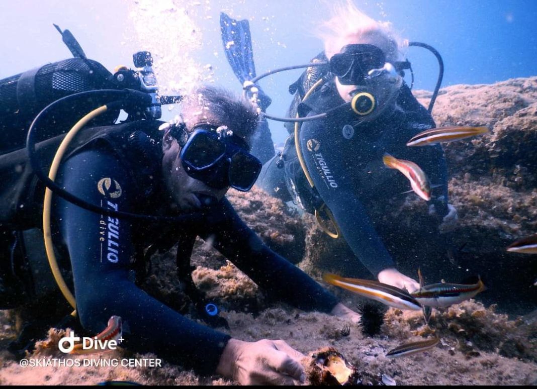 FB_IMG_1566050638096