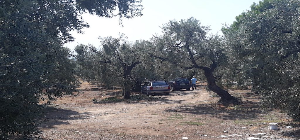 20190915_134828-1024x480