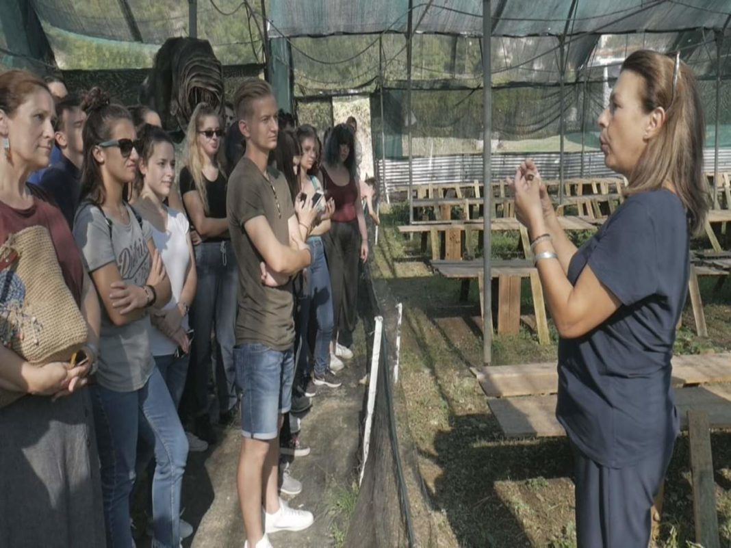 FB_IMG_1570462716643