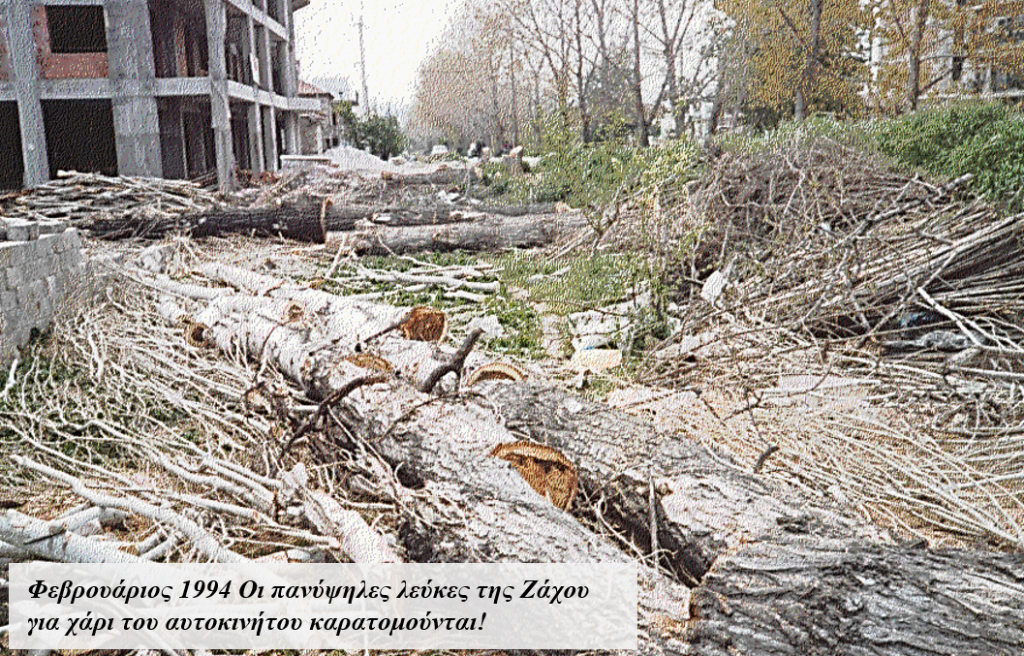 2-1994_ΛΕΥΚΕΣ_ΖΑΧΟΥ-1024x656