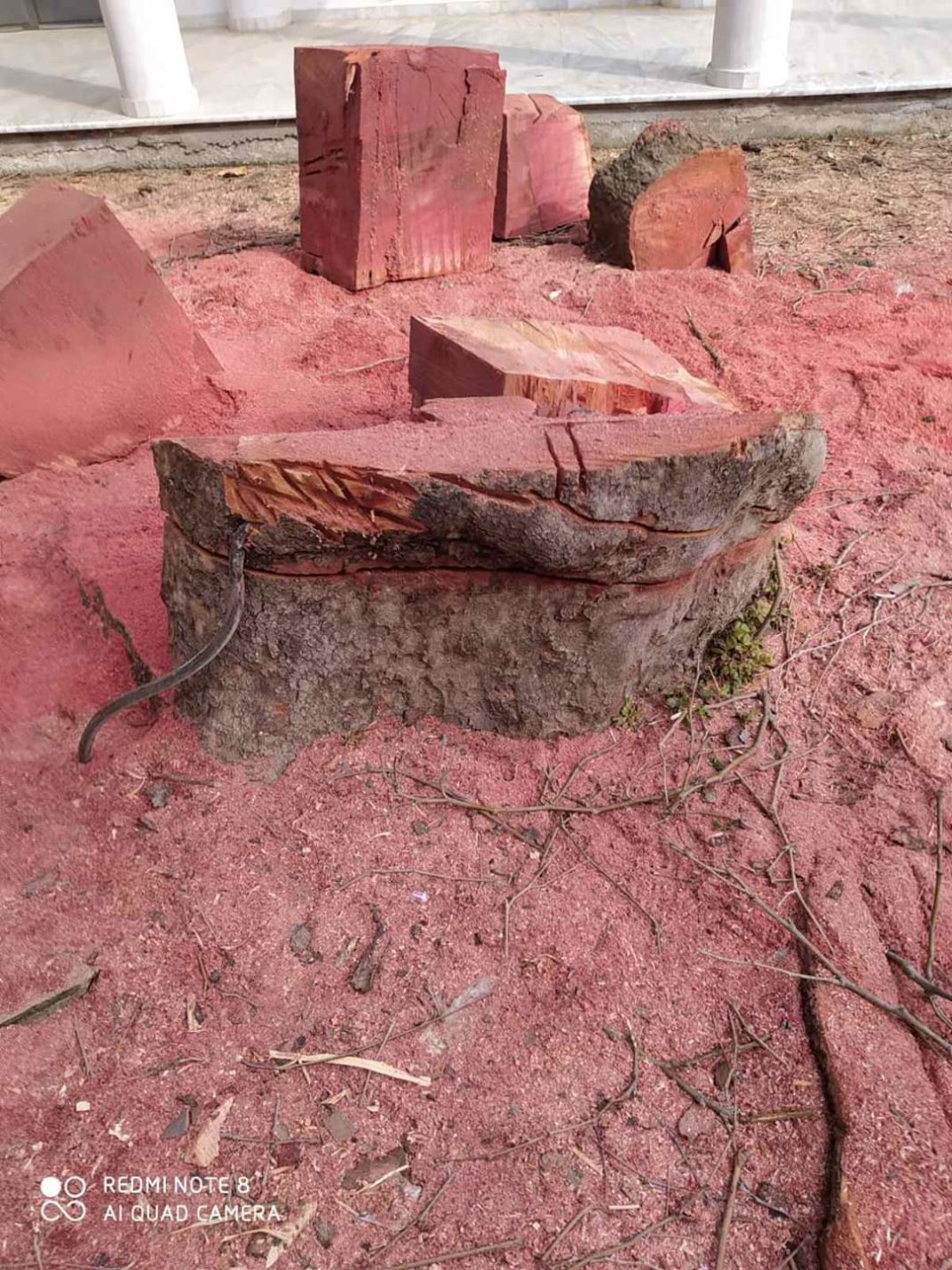 FB_IMG_1586797210318