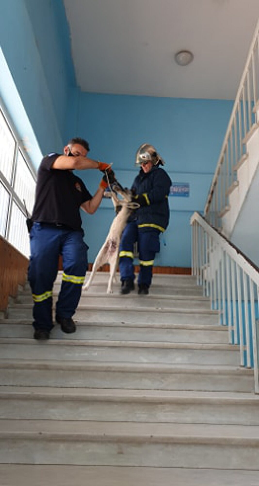 -Tessera-Tessera-Miden-Okto-Dyo-Miden-Ena-Tessera-Enea-Pente