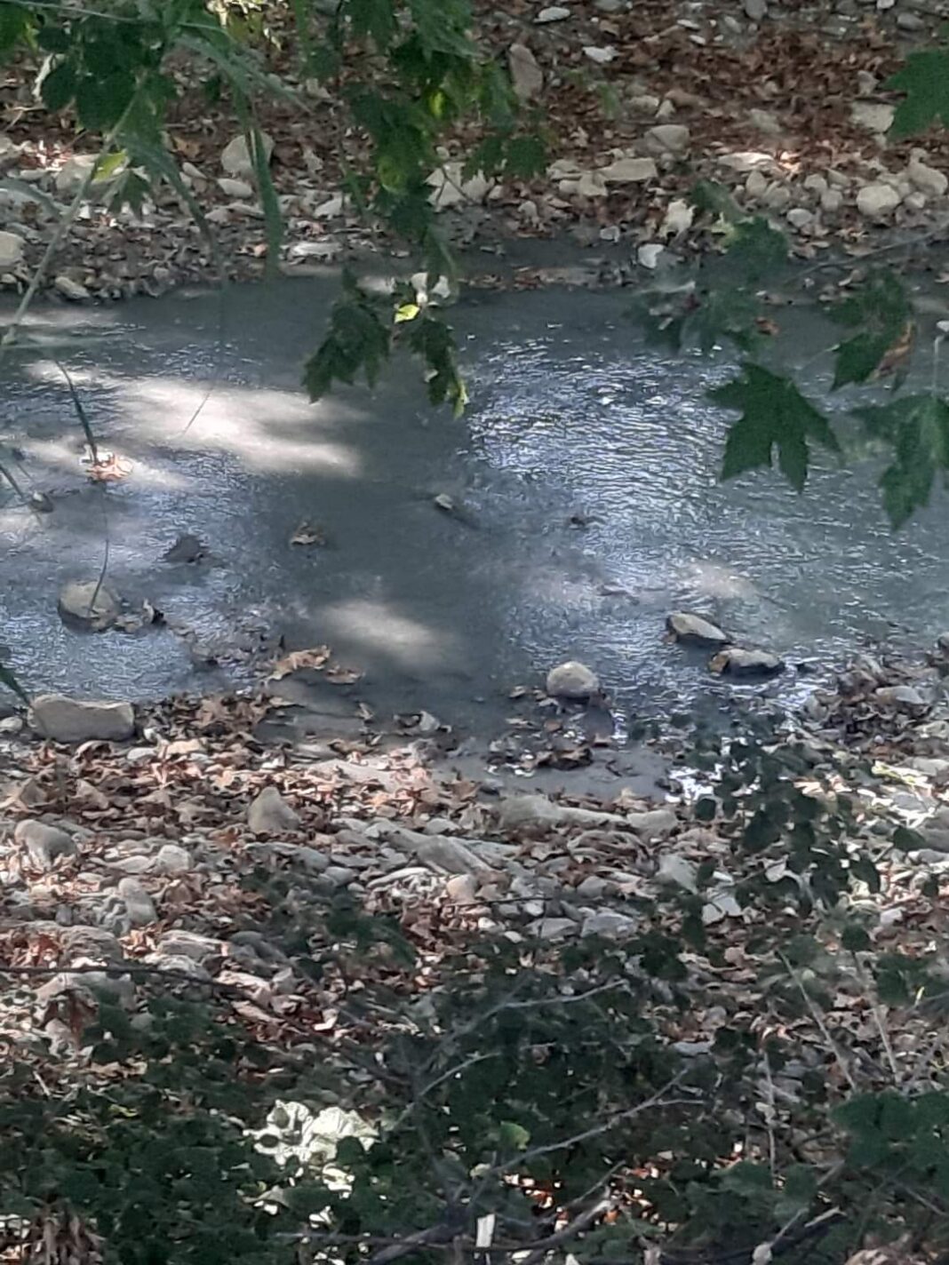 FB_IMG_1596645804597