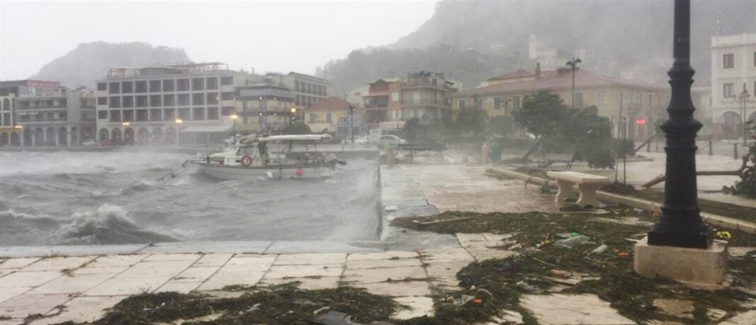 1100_c406a13d-bd82-44b8-bcf9-90aa9d95de5c