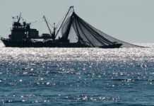 Δίδεται η κρατική οικονομική ενίσχυση (de minimis) αλιευτικών σκαφών της Π.Ε. Μαγνησίας