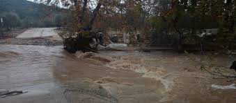 FB_IMG_1604426791869