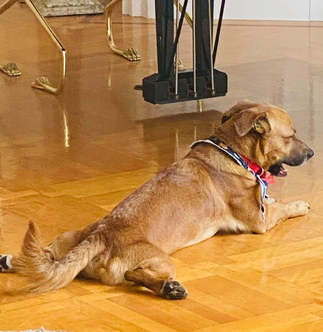 FB_IMG_1619686837727