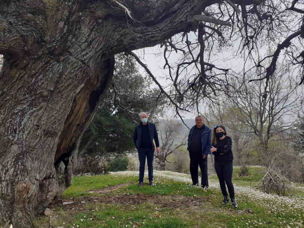 ΦΩΤΟ-2-ΕΠΙΣΚΕΨΗ-ΚΕΡΑΣΙΑ