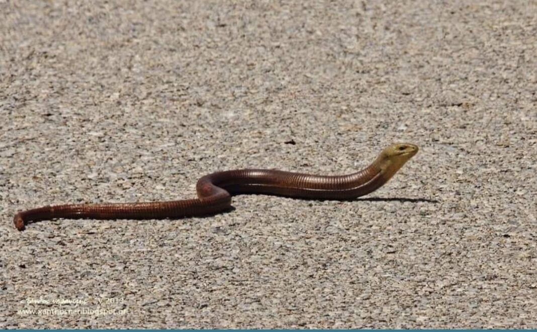 Screenshot_20210511-210812_Facebook