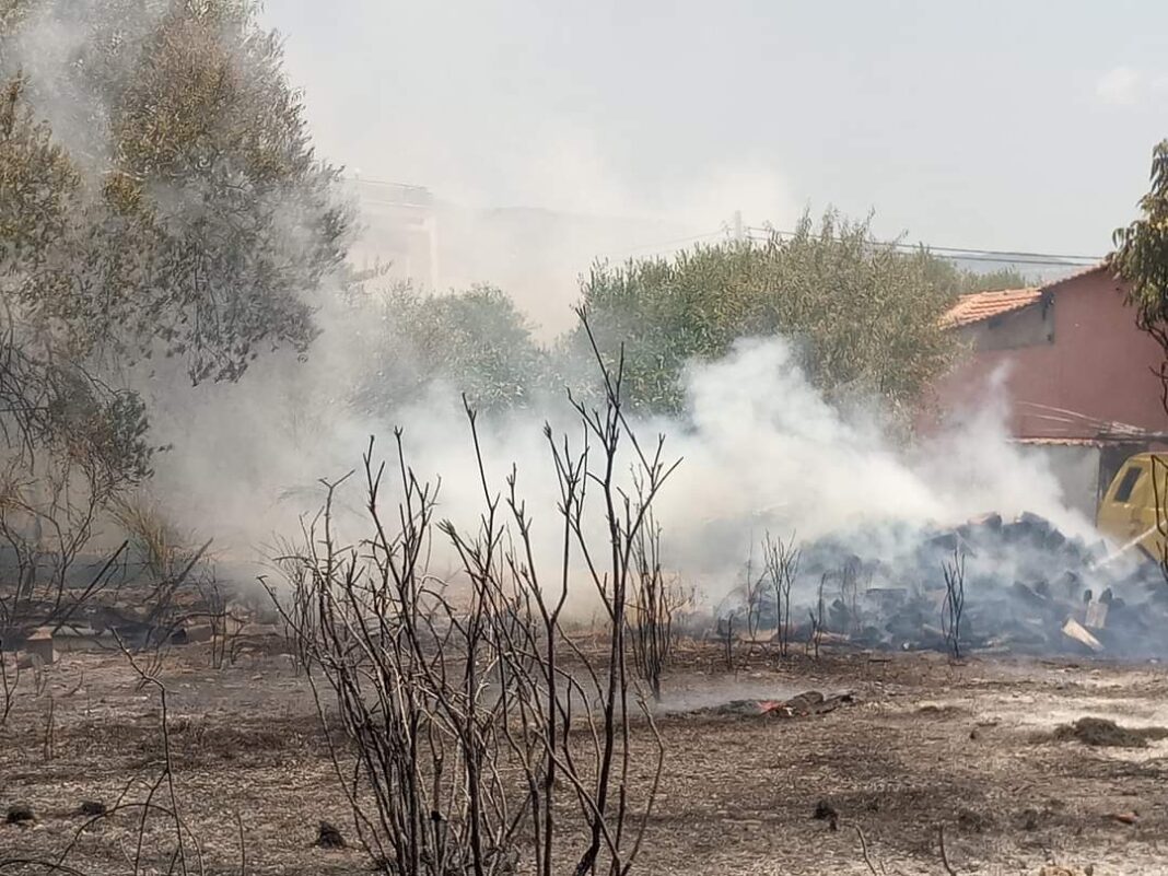 FB_IMG_1625919865337