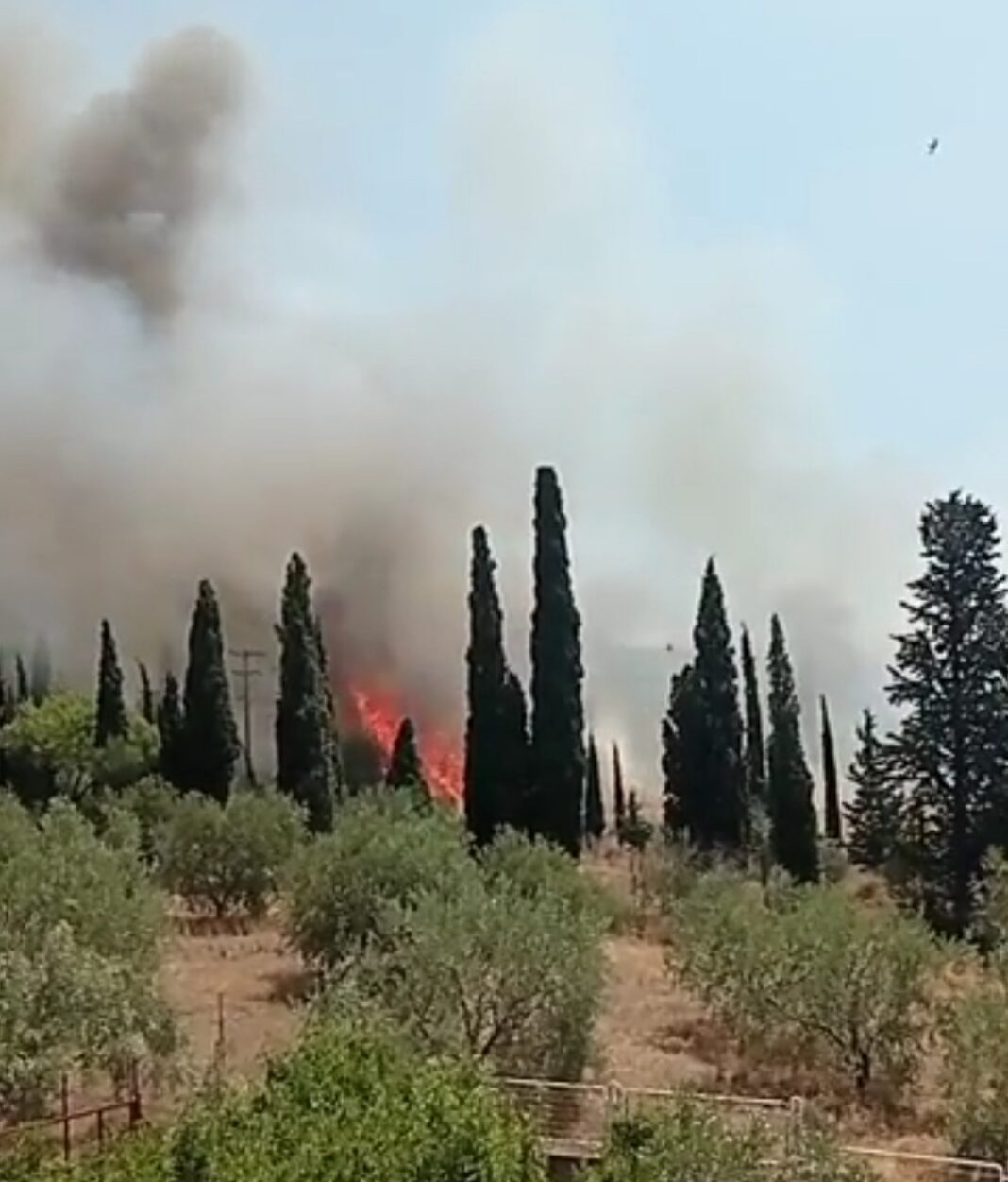 Screenshot_20210710-140830_Facebook