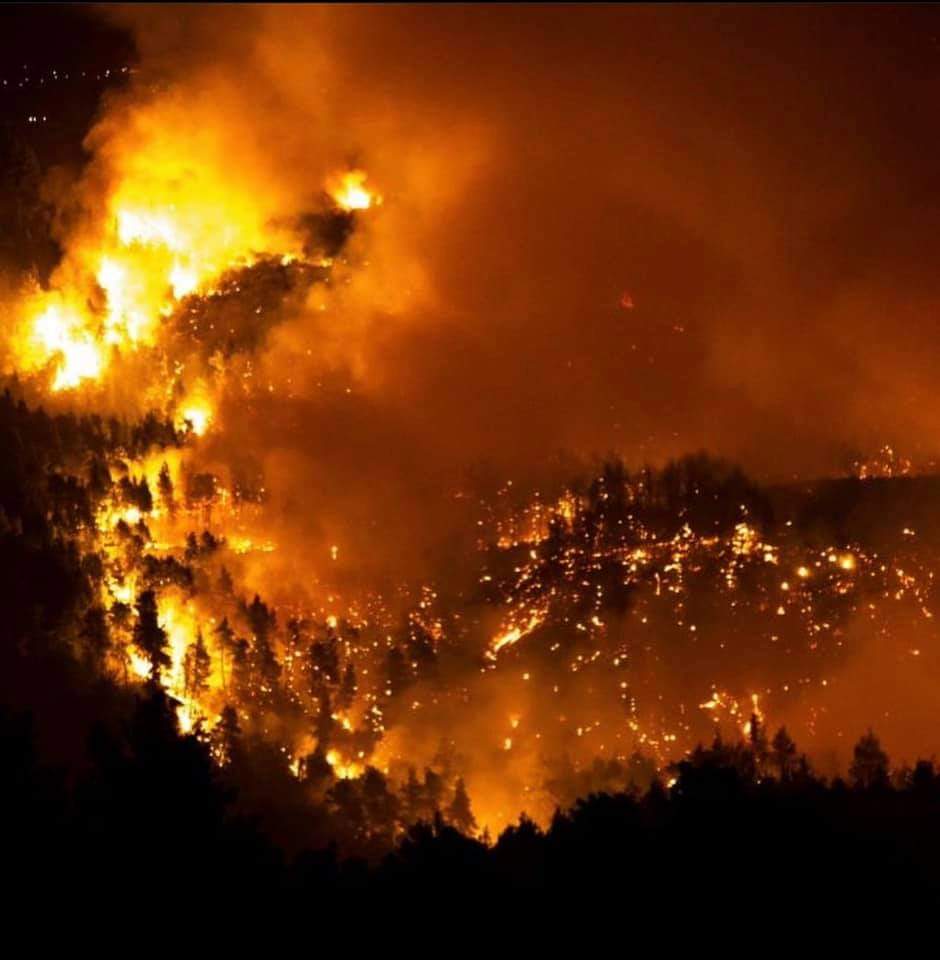 FB_IMG_1628249942903