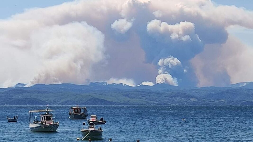 FB_IMG_1628341982556