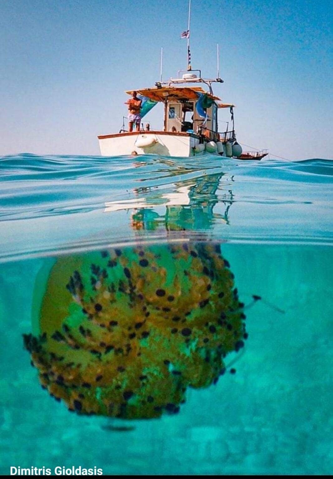 Screenshot_20210802-145232_Facebook-1