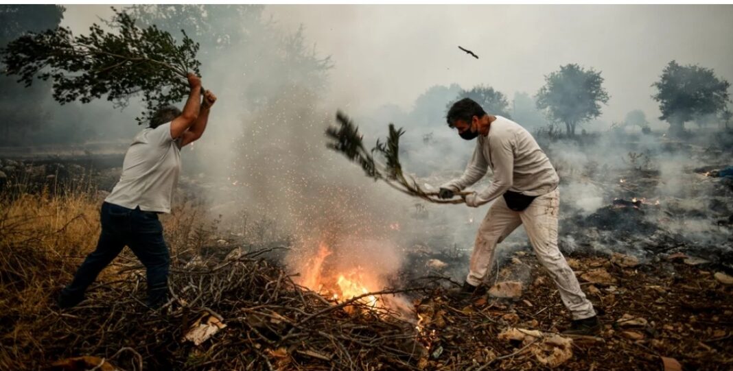 Screenshot_20210823-143658_Samsung Internet