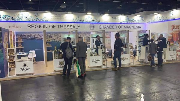 245059070_10159733718329456_2357522780329363915_n