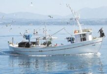 Πρόσκληση Υποβολής Αιτήσεων Χρηματοδότησης- «Επενδύσεις στα αλιευτικά σκάφη χωρίς να αυξάνεται η αλιευτική τους ικανότητα»