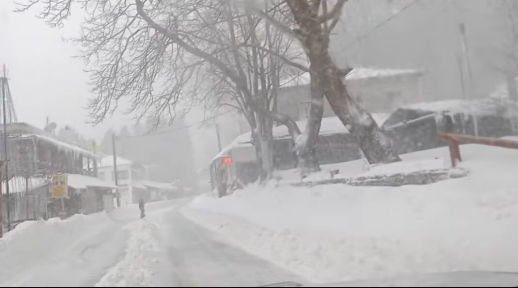 Screenshot_20220112-120128_Facebook