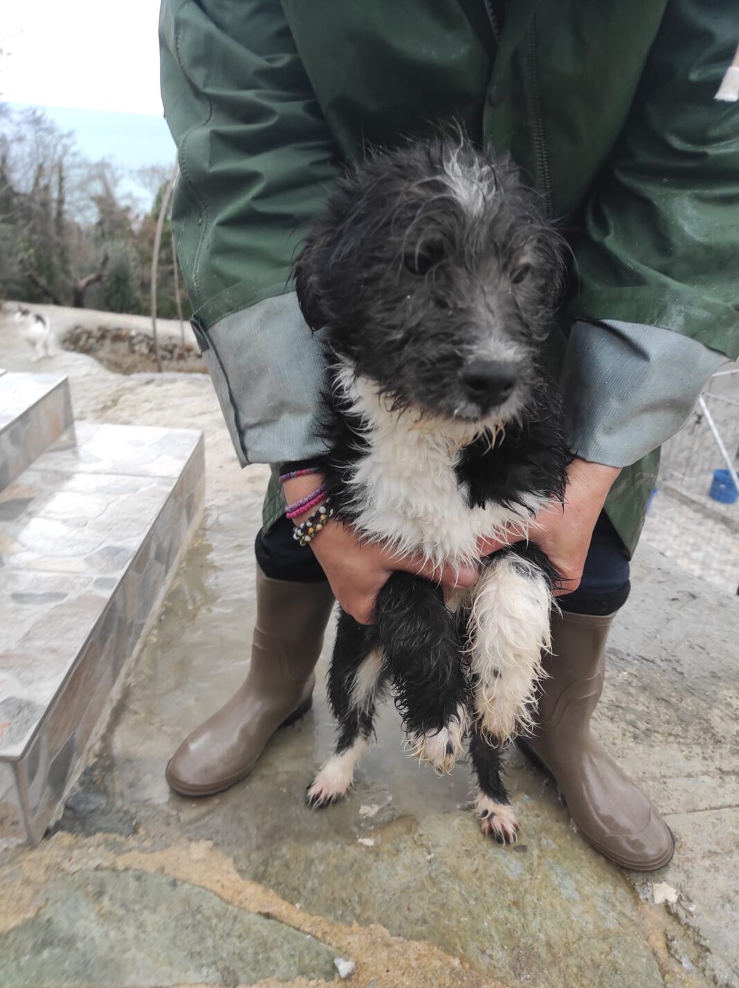 276081660_10227640510021502_5749974203297445946_n