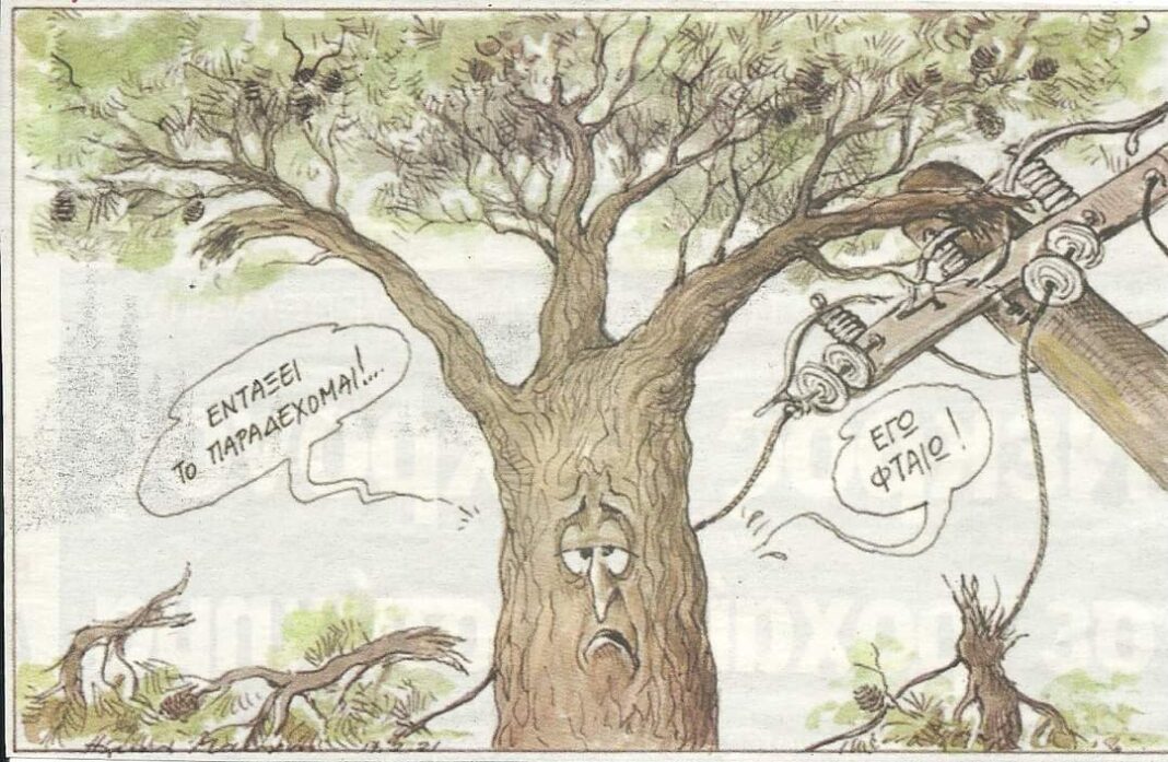 FB_IMG_1647520206002