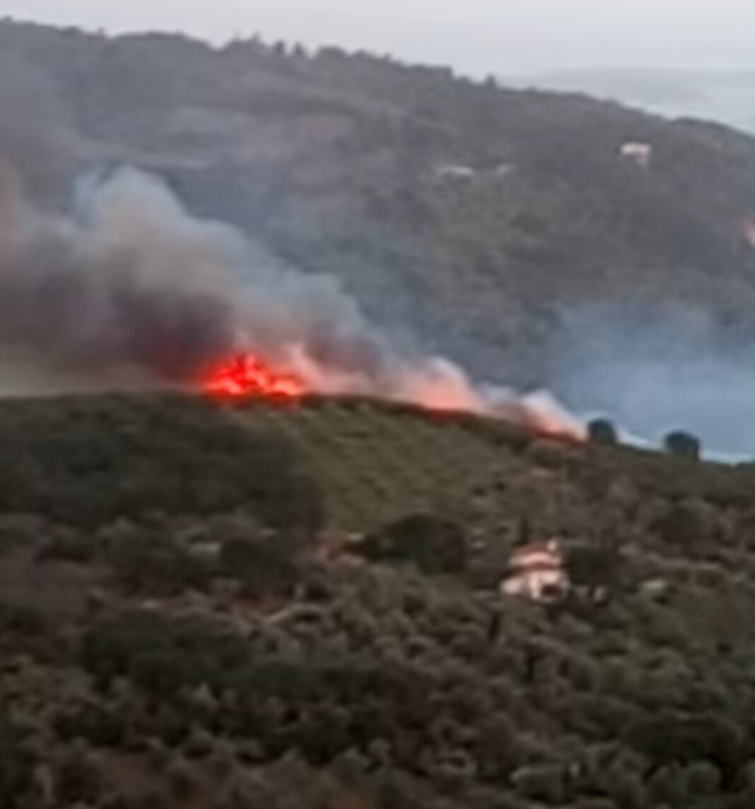 Screenshot_20220401-201449_Facebook