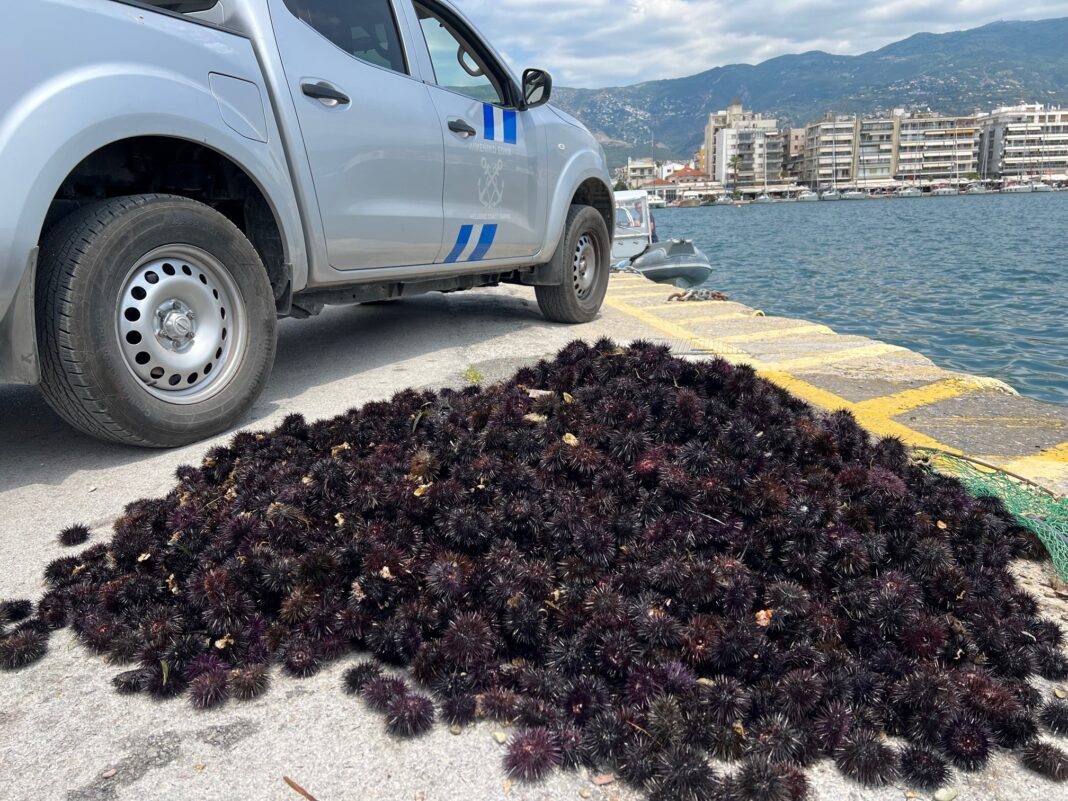 volos.original