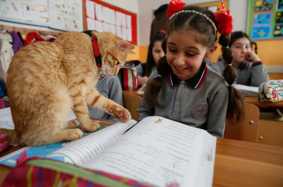 Screenshot_20220714-112545_Facebook