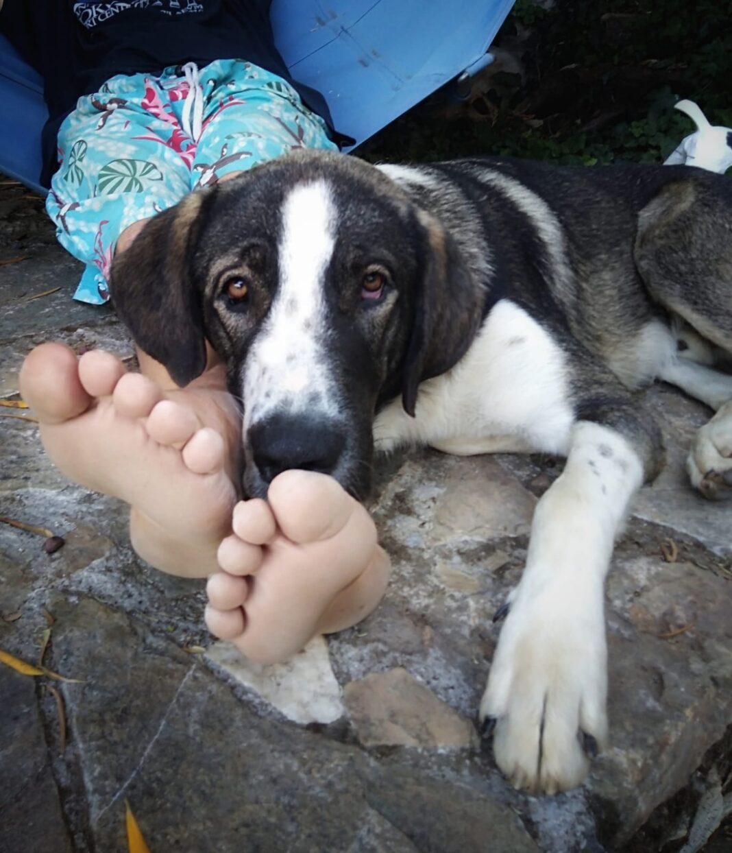 301872849_446844564125842_8946121206794786070_n