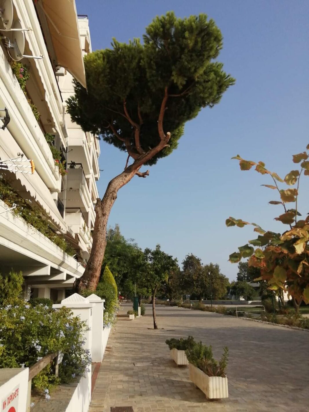 FB_IMG_1660924824764