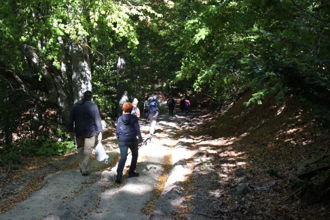 ΝΟΕΜΒΡΙΟΣ-2022