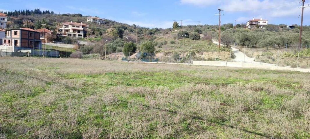 FB_IMG_1673295485492