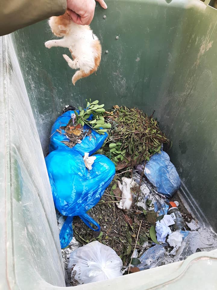 337262697_602161981490535_1378104187953992763_n