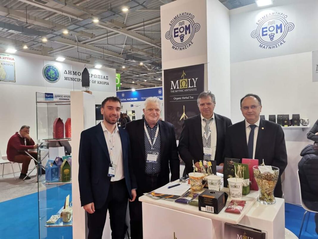 FB_IMG_1679313067364-1