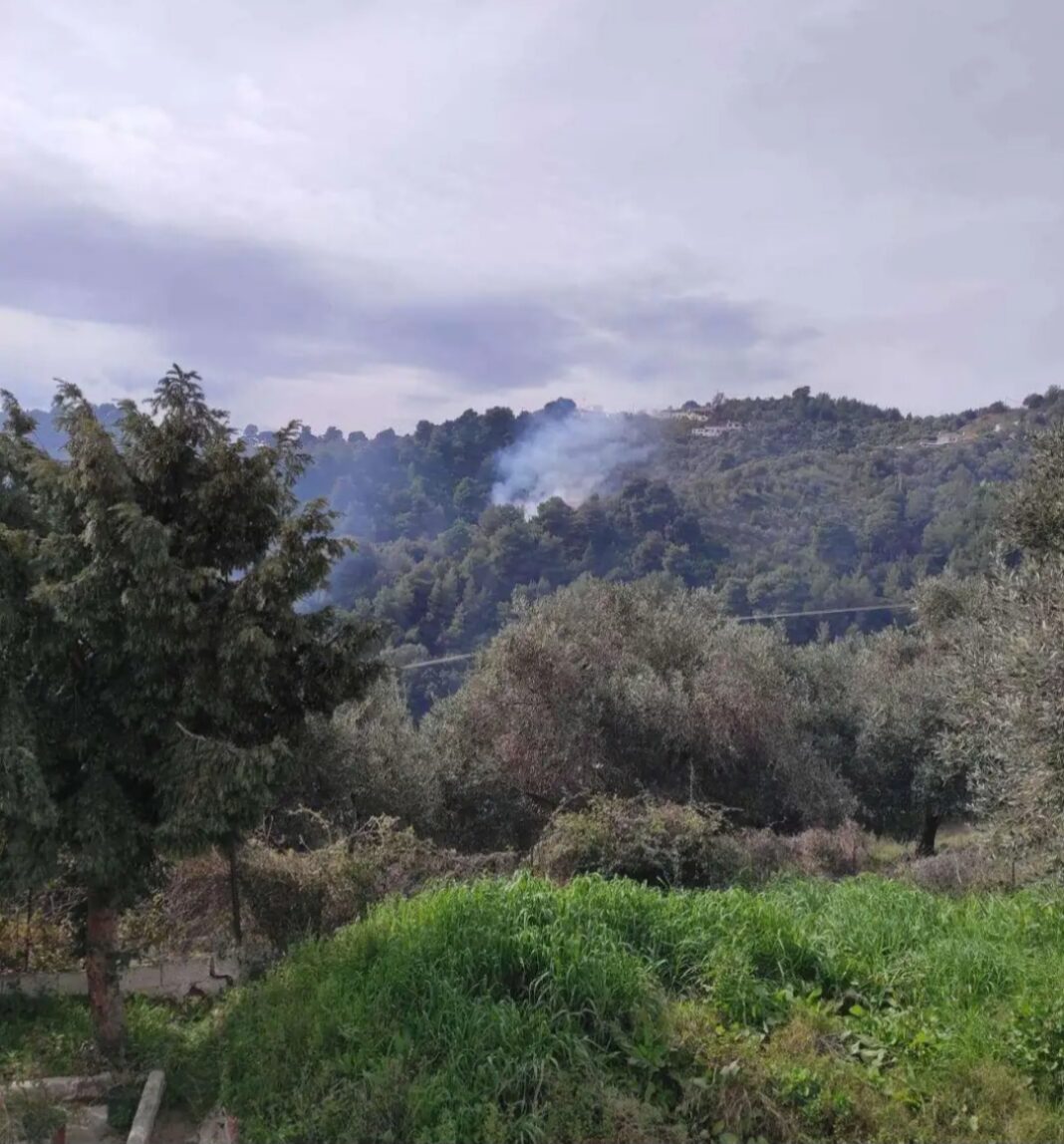 Screenshot_20230310_190853_Facebook