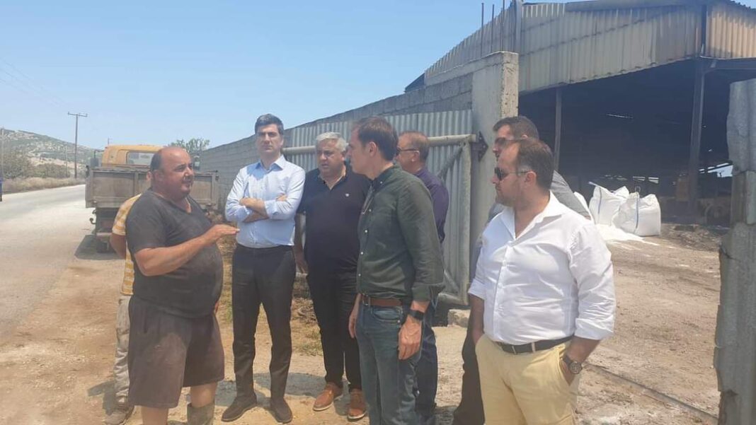 FB_IMG_1690661757963