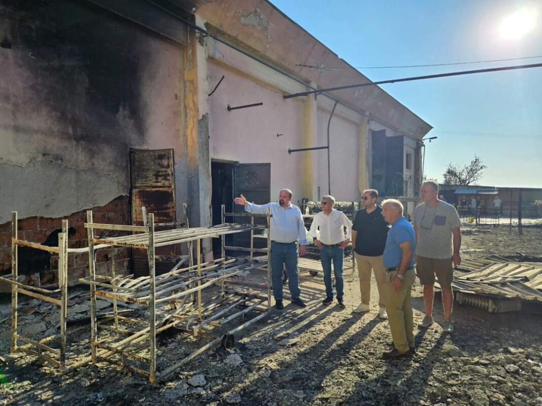 FB_IMG_1690796101839