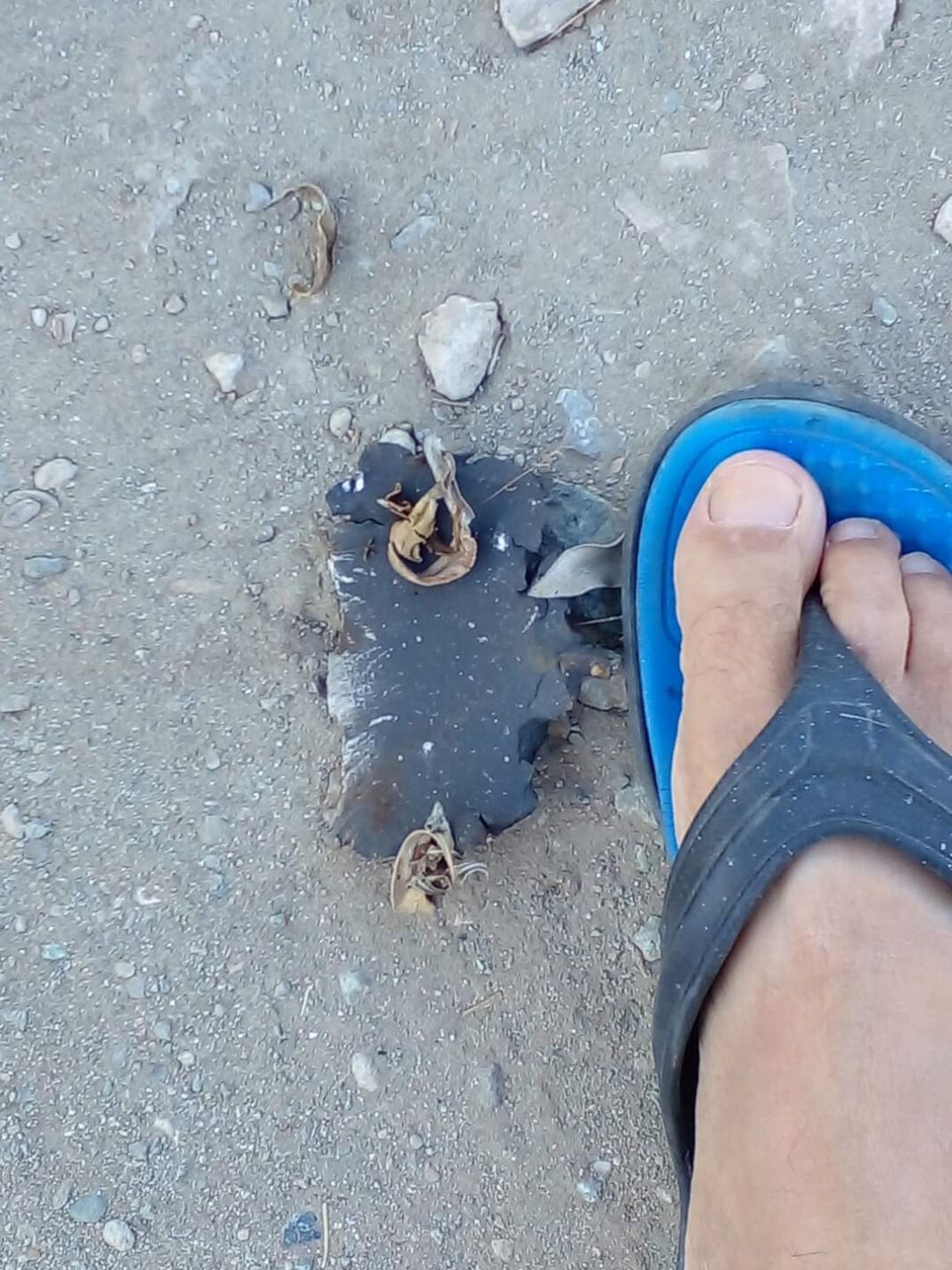 FB_IMG_1690806598363-1