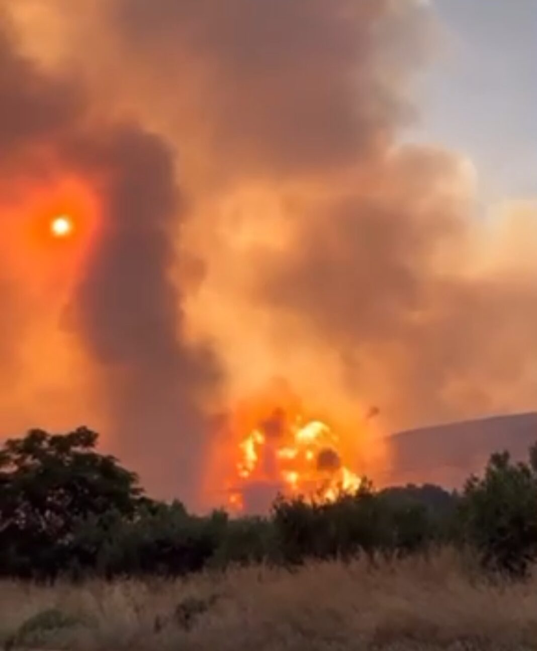 Screenshot_20230727_205027_Gallery-2