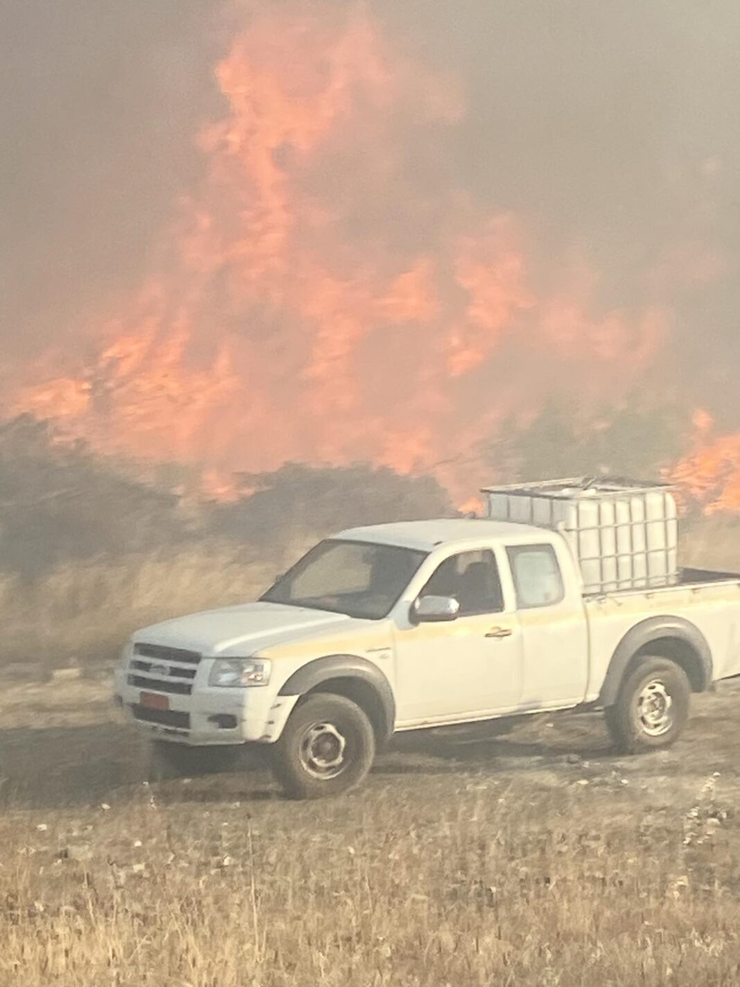 received_1978350502522894-2