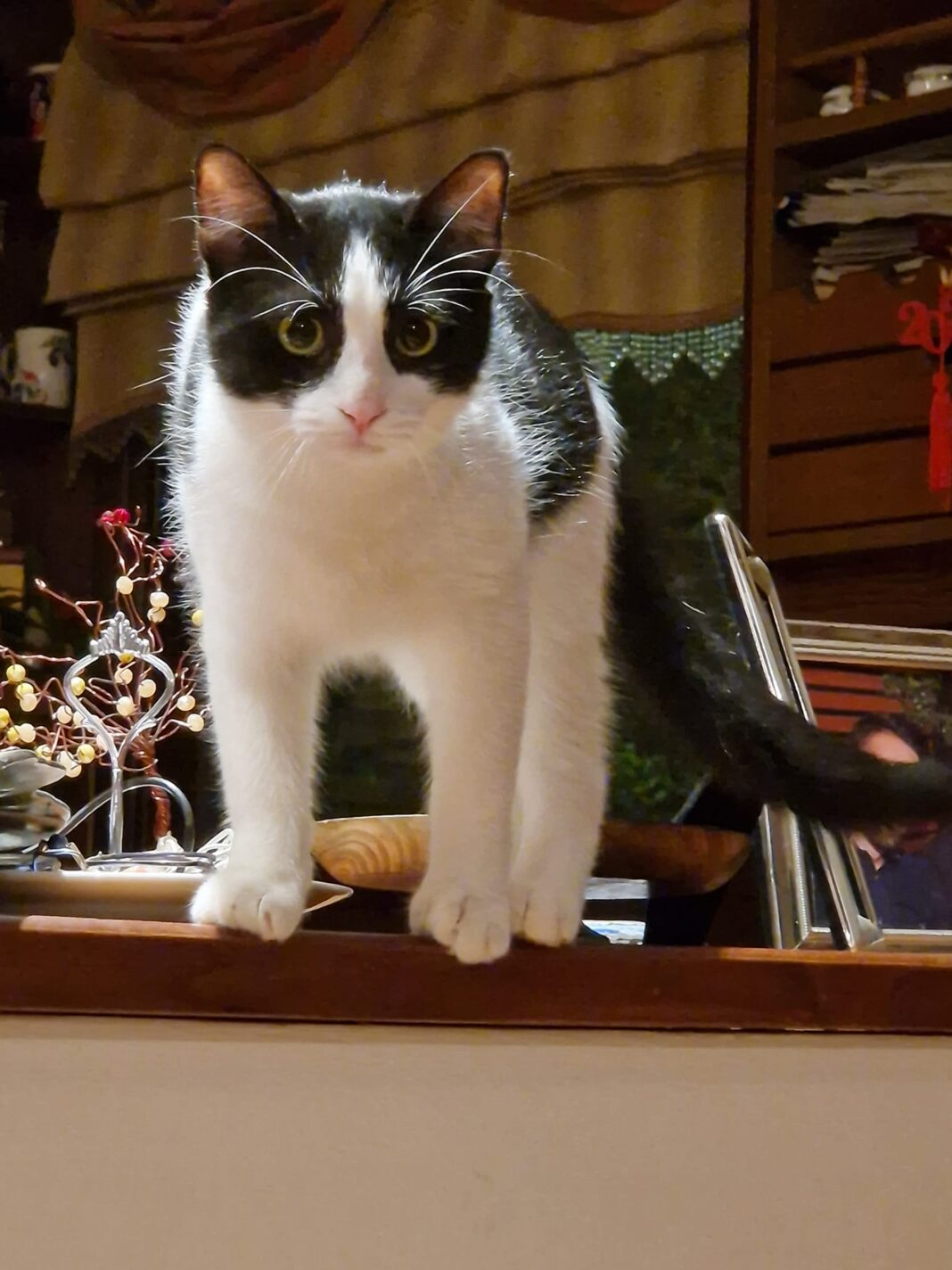 404072521_10211782973727410_2916148742974542164_n