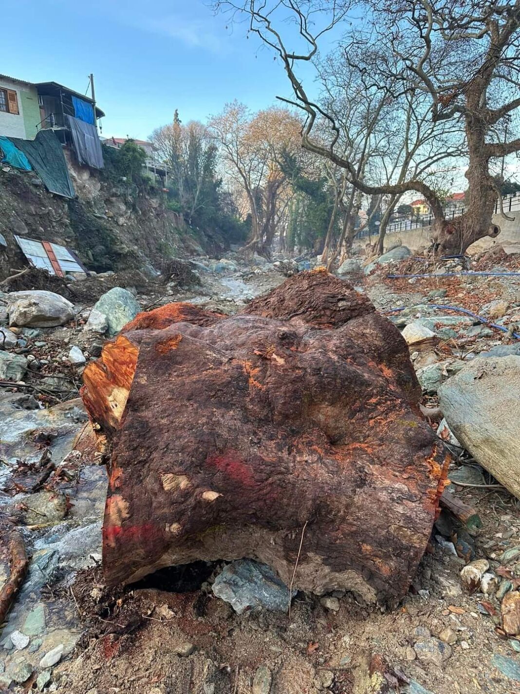 FB_IMG_1705401648591-1