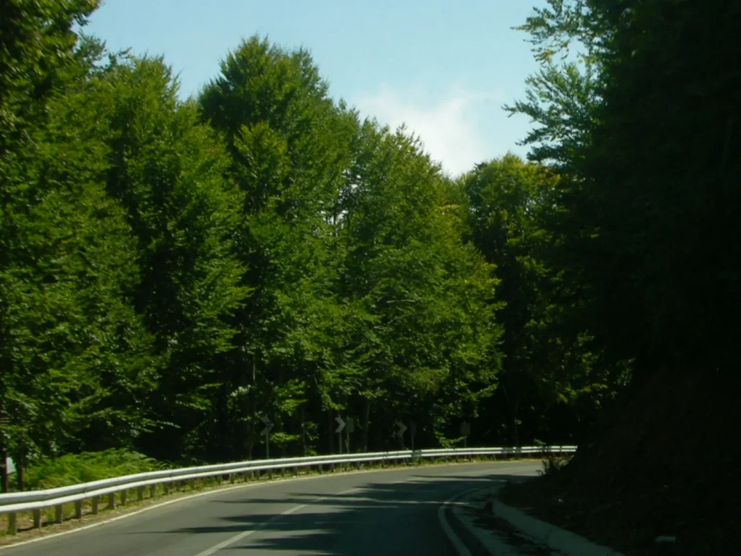 χάνια-κισσός