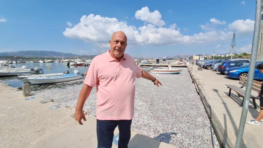 457235017_3691130267816701_1038672963989219875_n