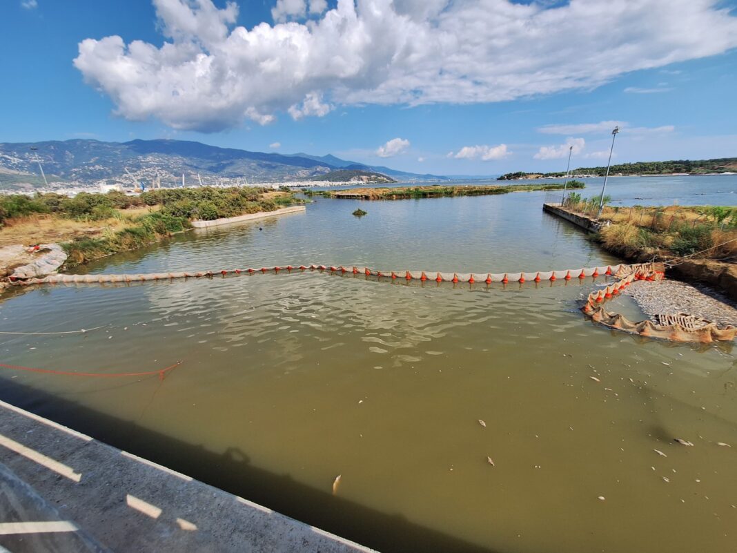 IMG-14bb8b1678813d7adceb997813a51129-V