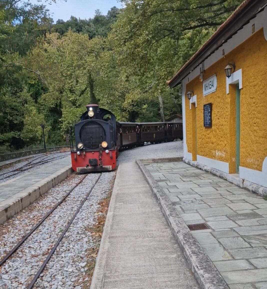 Screenshot_20240925_163801_Gallery