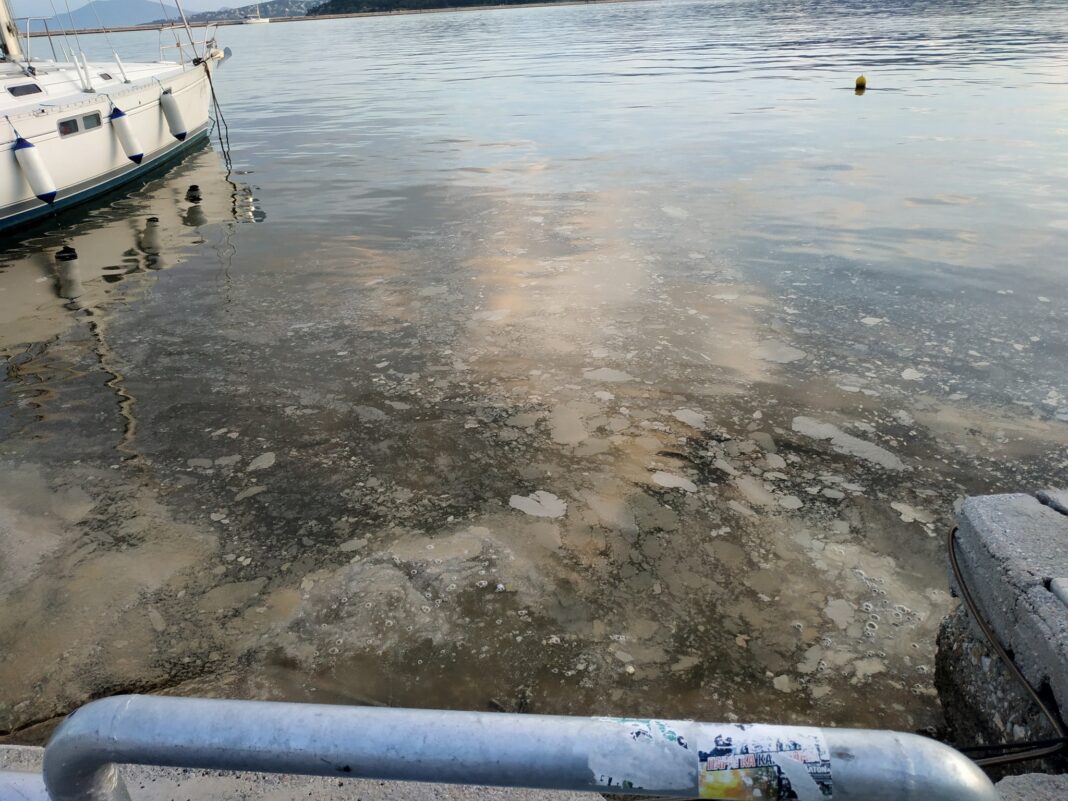 494424491_10236965531978943_2373058937498739762_n