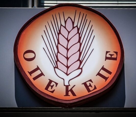 ΟΠΕΚΕΠΕ: Αυτοί είναι οι βουλευτές της ΝΔ που τους ασκήθηκαν διώξεις – Όλα τα ονόματα