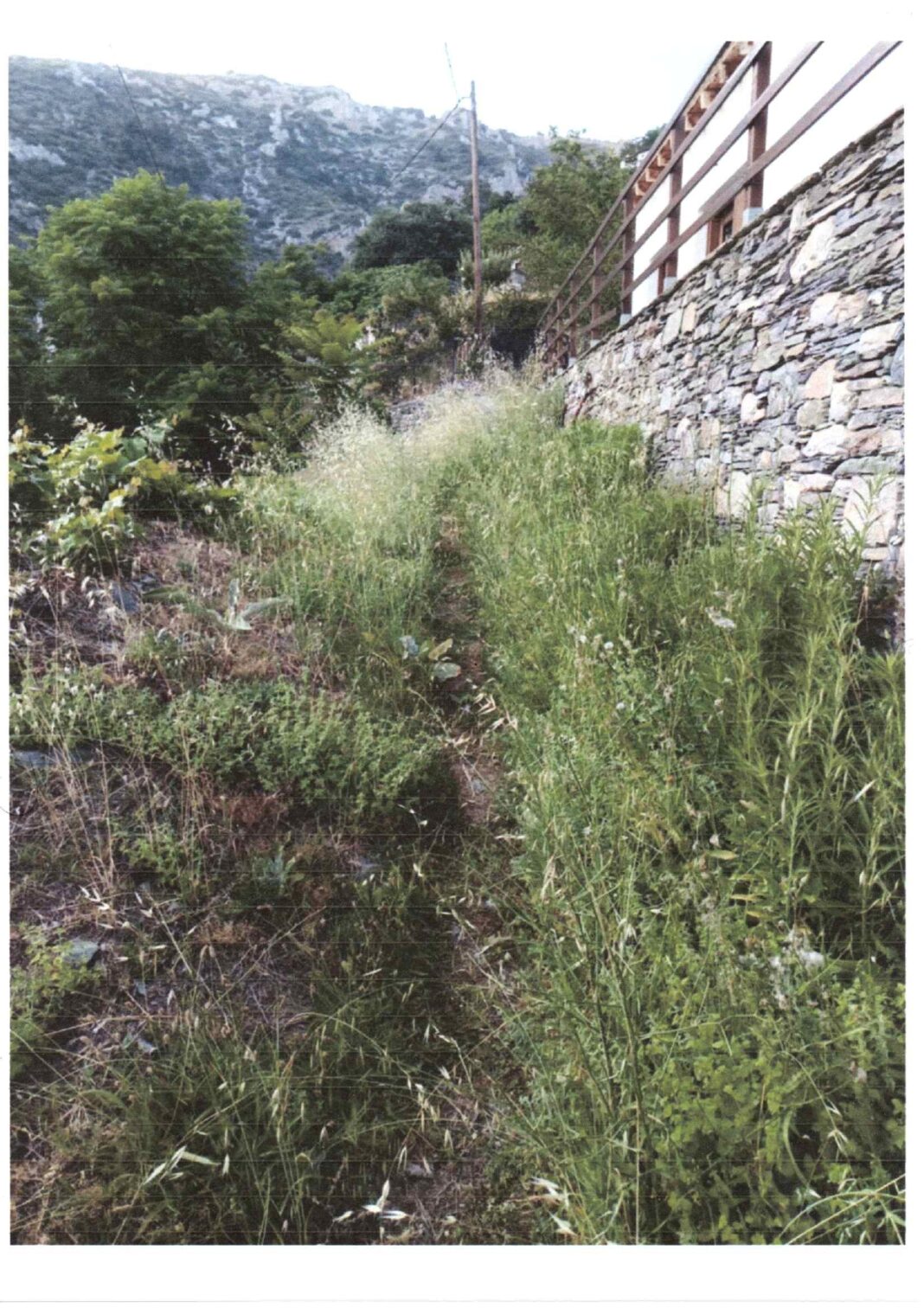 ΕΠΙΣΥΝΑΠΤΟΜΕΝΕΣ ΦΩΤΟΓΡΑΦΙΕΣ ΧΩΡΩΝ ΜΑΚΡΙΝΙΤΣΑΣ_page-0002