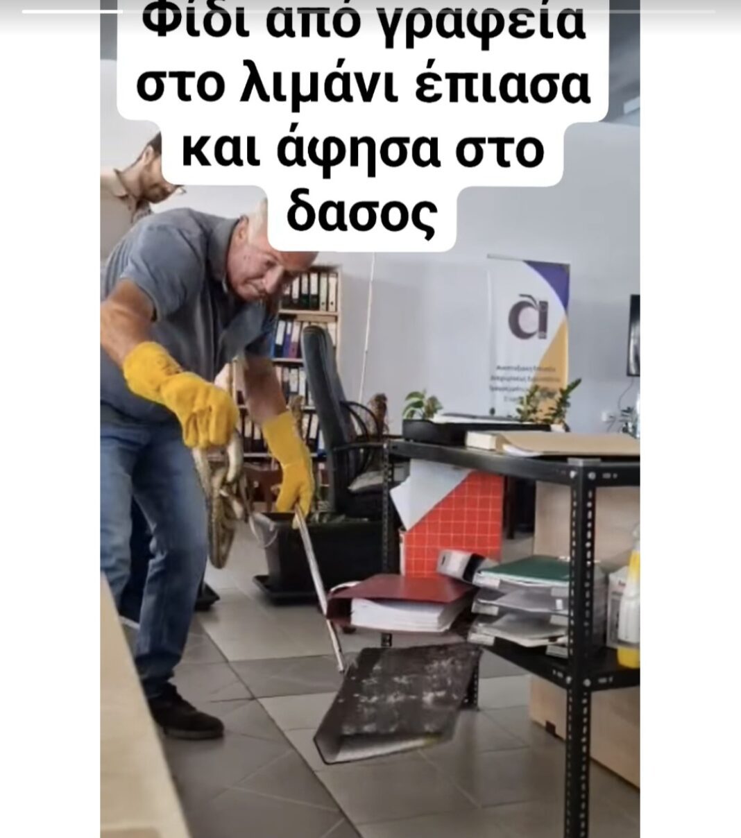 1000029871